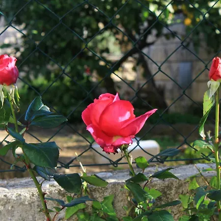 By The Sea Slatine, Ciovo - 9433